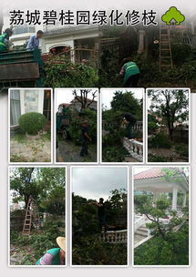 增城区工厂楼盘绿化修枝养护与物业管理