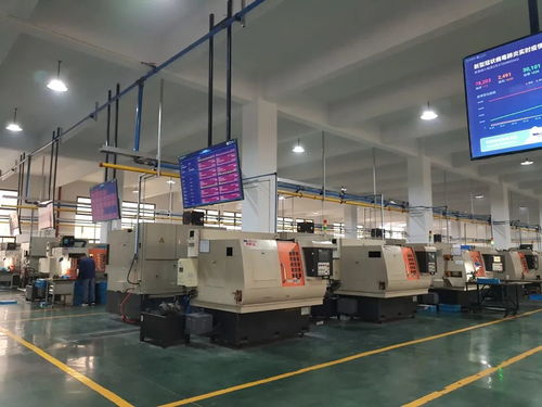 马桥街道经编园区重大工业投资项目竣工投产，投资管理赋能产业高质量发展